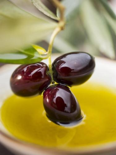 Маслина, оливковое дерево: описание, размещение, уход - Как ухаживать за маслиной, оливковым деревом