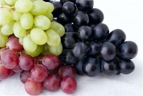 Виноград: описание, размещение, уход - Как ухаживать за виноградом